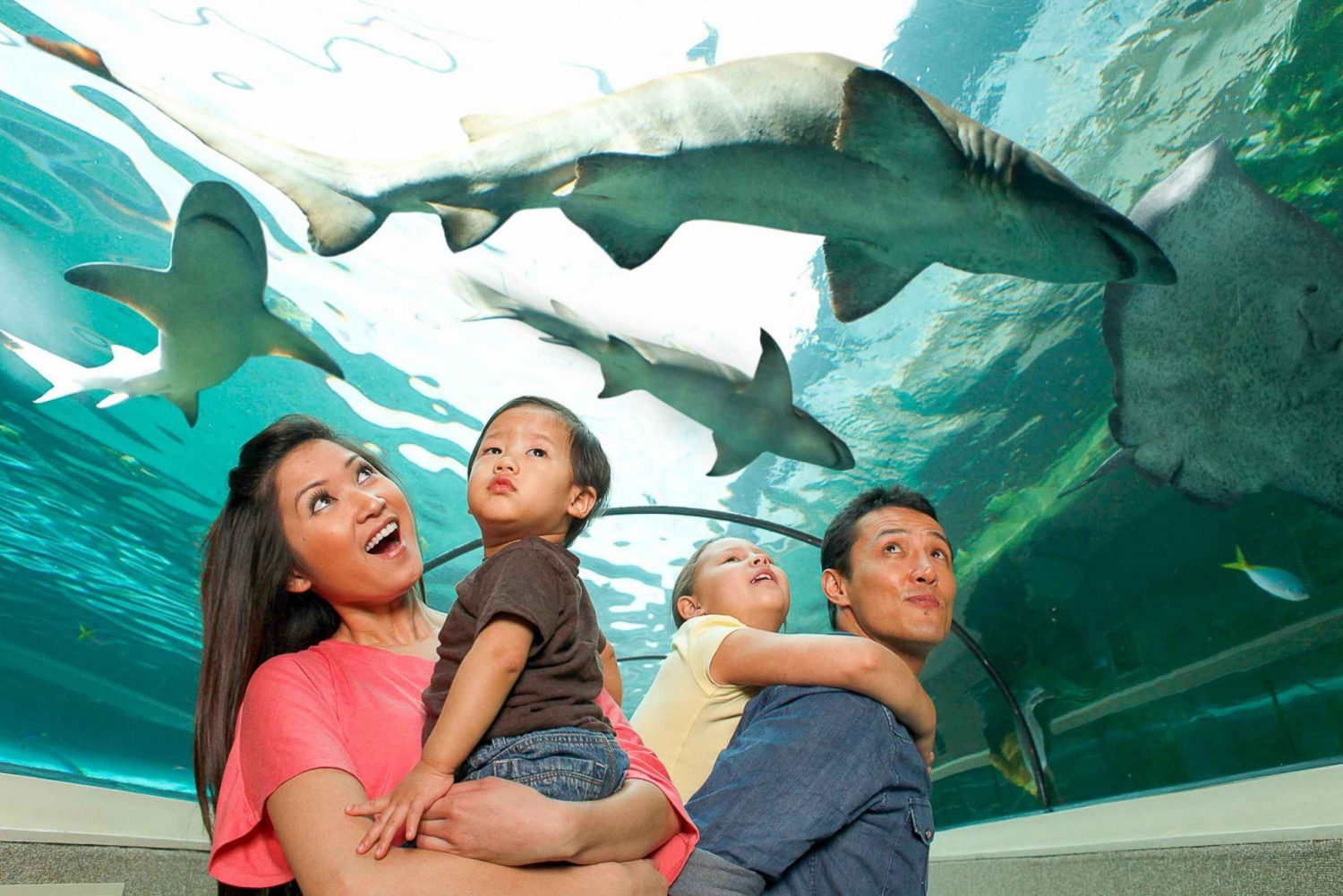 SEA LIFE Sydney Aquarium