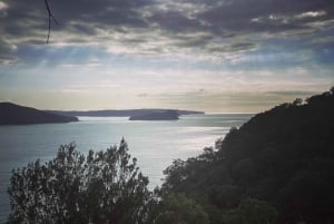 Sydney: Ku-ring-gai Chase National Park Day Tour with Lunch