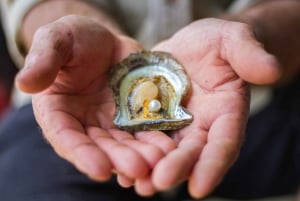 Shell to Showroom - Sydney's only Pearl Farm Experience