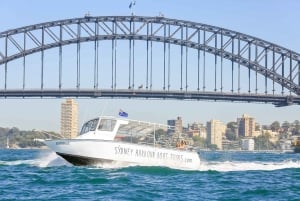 Sydney: Secret Beaches Harbor Cruise with Local Guide