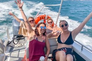 Sydney: Secrets Cruise with Lunch at Famous Yacht Club