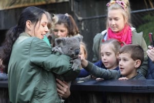 Somersby: Australian Reptile Park Day Pass - 9am to 5pm