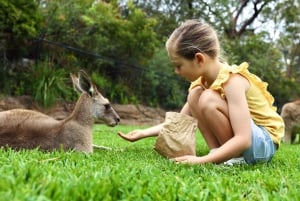 Somersby: Australian Reptile Park Day Pass - 9am to 5pm