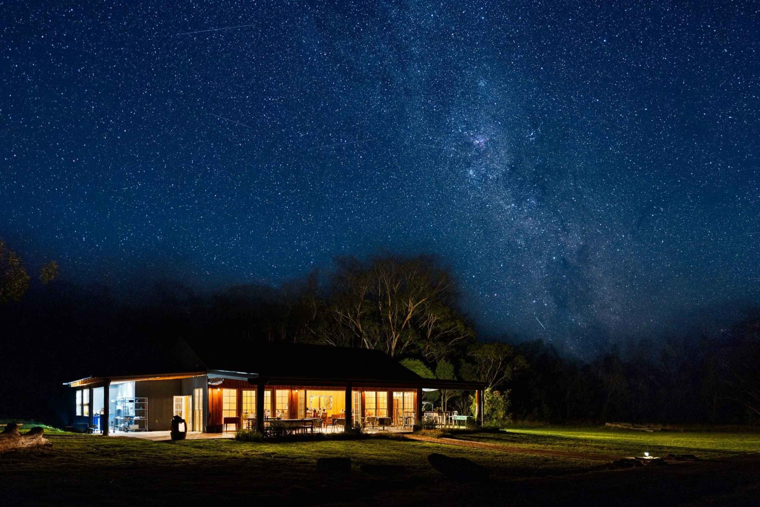 サザンハイランド夜行性野生動物体験