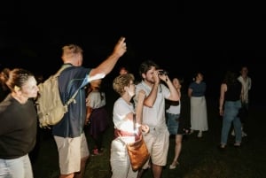 Det sydlige højland: Natlig oplevelse af dyrelivet