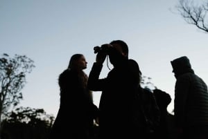 Det sydlige højland: Natlig oplevelse af dyrelivet