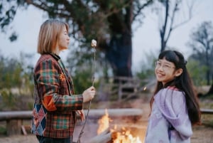 サザンハイランド夜行性野生動物体験