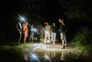 サザンハイランド夜行性野生動物体験