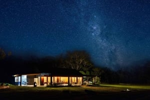 サザンハイランド夜行性野生動物体験