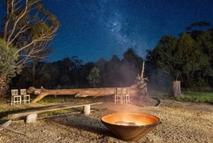 サザンハイランド夜行性野生動物体験