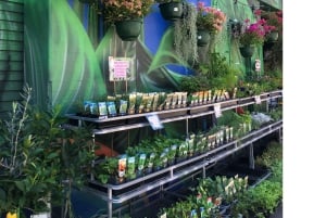 Sustainable Sydney Tours - eco conscious collective Newtown