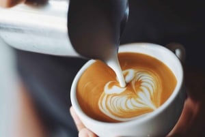 Tour sostenibili di Sydney: Newtown, un collettivo eco-consapevole