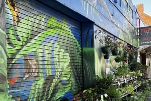 Tour sostenibili di Sydney: Newtown, un collettivo eco-consapevole