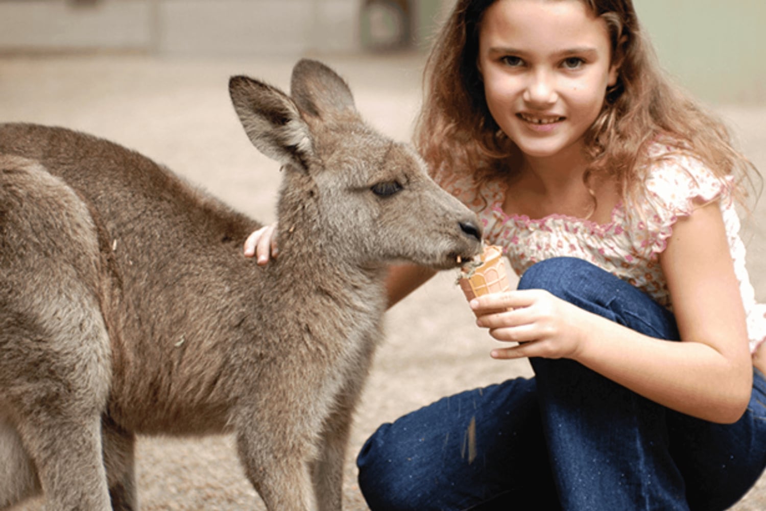Sydney : pass illimité de 2, 3 ou 5 jours pour les attractions