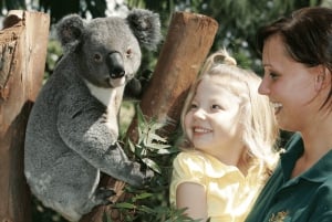 Sydney : pass illimité de 2, 3 ou 5 jours pour les attractions