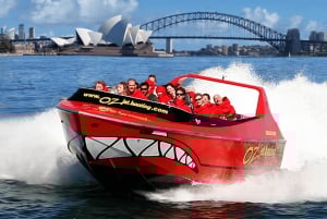 Sydney : pass illimité de 2, 3 ou 5 jours pour les attractions