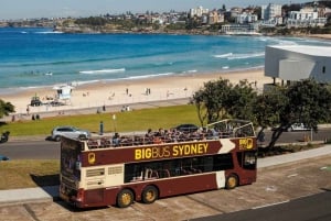 Sydney : pass illimité de 2, 3 ou 5 jours pour les attractions