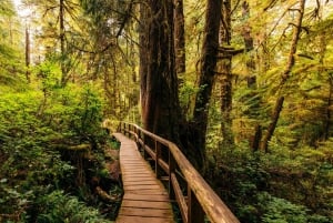 Sydney: 2-tägige private Tour zu den Blue Mountains und Kiama