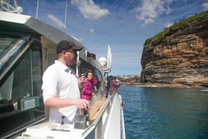 Sydney: excursão de observação de baleias de 3 horas em catamarã