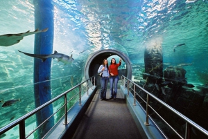 Sydney: 2, 3 or 5-Day iVenture Unlimited Attractions Pass