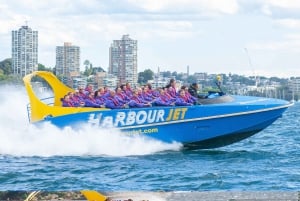 Sydney: paseo en barco de 30 minutos desde Darling Harbour