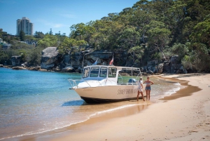 Sydney: 4-Hour Cruise with Lunch at a Fishing Village