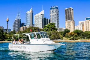 Sydney: 4-Hour Cruise with Lunch at a Fishing Village