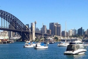 Sydney : Une promenade sur l'estran du port jusqu'à Lavender Bay Audioguide