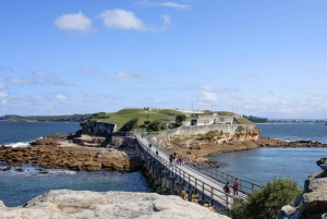 Sydney: Beaches and Lighthouse Day Trip