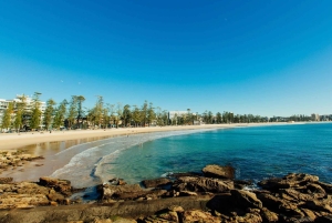 Sydney: Beaches and Lighthouse Day Trip