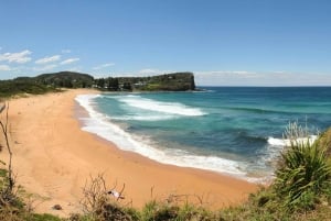 Sydney: Beaches and Lighthouse Day Trip