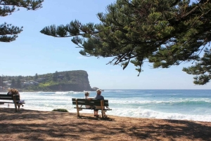 Sydney: Beaches and Lighthouse Day Trip