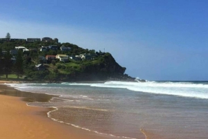 Sydney: Beaches and Lighthouse Day Trip