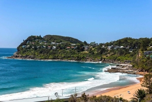 Sydney: Beaches and Lighthouse Day Trip