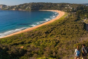 Sydney: Beaches and Lighthouse Day Trip