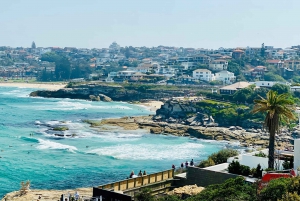 Sydney Beaches Private Tour - Drive + Walk