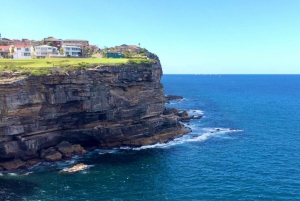 Sydney Beaches Private Tour - Drive + Walk