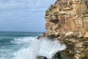 Sydney Beaches Private Tour - Drive + Walk