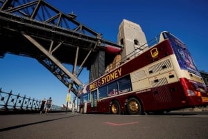 Sydney: Big Bus Hop-On Hop-Off Tour with Optional Cruise