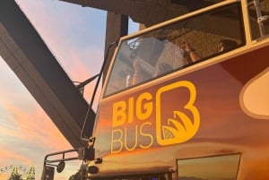 Сидней: обзорная экскурсия на автобусе Big Bus с возможностью круиза