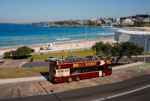 Sydney: Sightseeingtur med åpen buss Hop-on Hop-off
