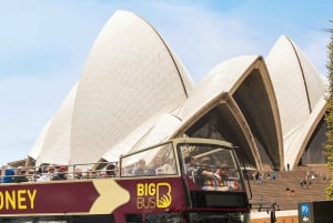 Sydney: Hop-On Hop-Off Sightseeing Tour: Open-Top Bus Hop-On Hop-Off Sightseeing Tour Sydney: Open-Top Bus Hop-On Hop-Off Sightseeing Tour