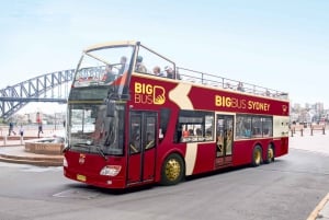 Sydney: Wycieczka autobusowa hop-on hop-off w otwartym autobusie