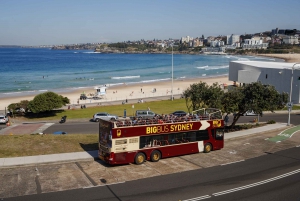Sydney: Big Bus Open-Top Hop-on Hop-off Tour