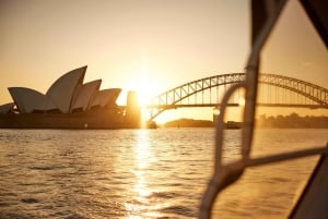 Sydney: Big Bus Panoramic Aftentur med åben bus
