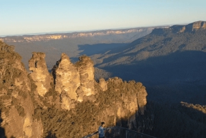 Sydney Blue Mountain Night Tour (Private)