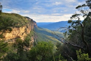 Fra Sydney: Solnedgangs- og villmarkstur i Blue Mountains