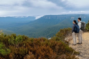 Sydney: Blue Mountains and F. Wildlife Park - Private Tour