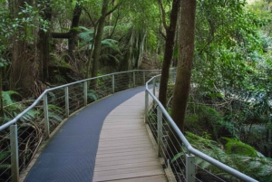 Sydney: Blue Mountains and F. Wildlife Park - Private Tour