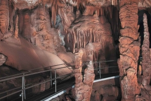 Sydney: Blue Mountains and F. Wildlife Park - Private Tour